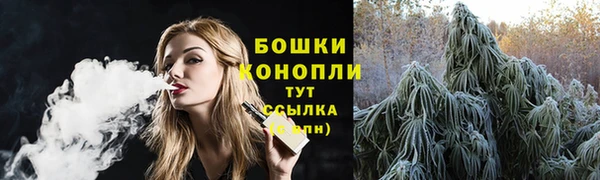 шишки Армянск