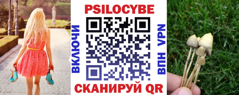 Псилоцибиновые грибы Psilocybe Байкальск